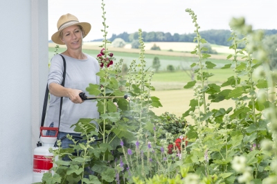 Für den Hausgartenbereich sind kleine Handsprüher und Druckspeicher-Sprühgeräte bis 5 Liter ausreichend.